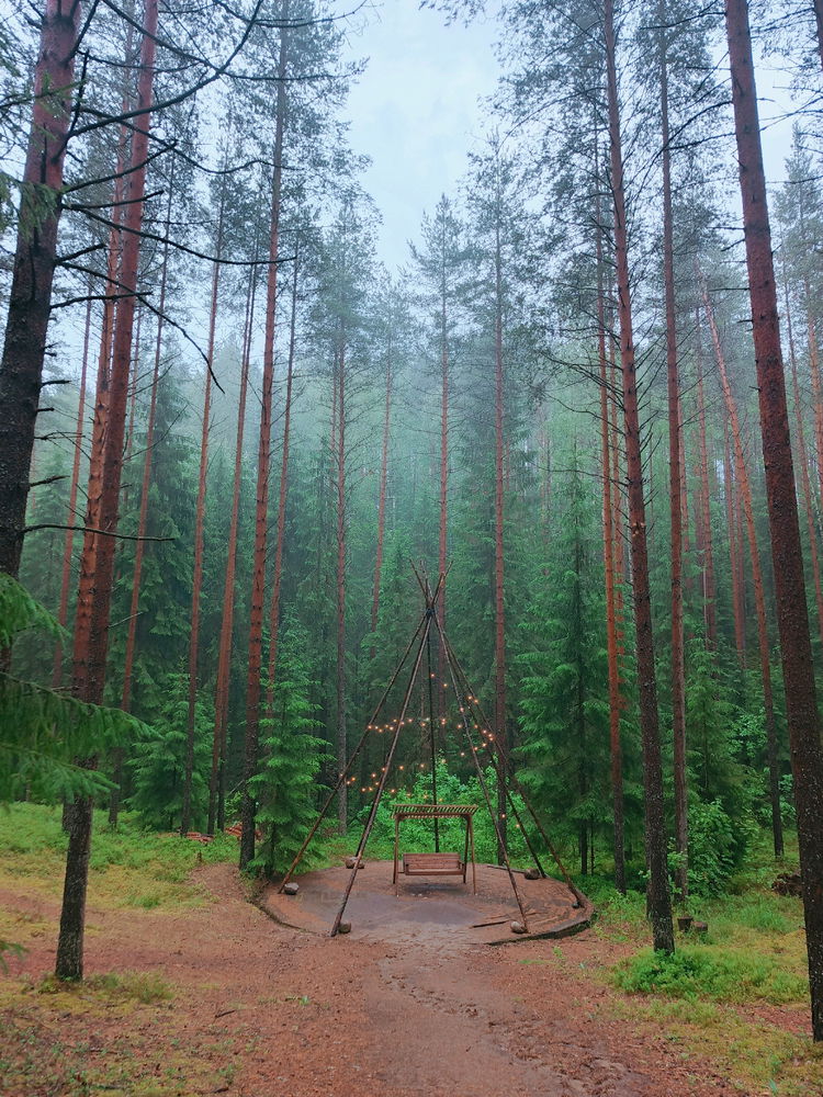запах леса 😍 после дождя
