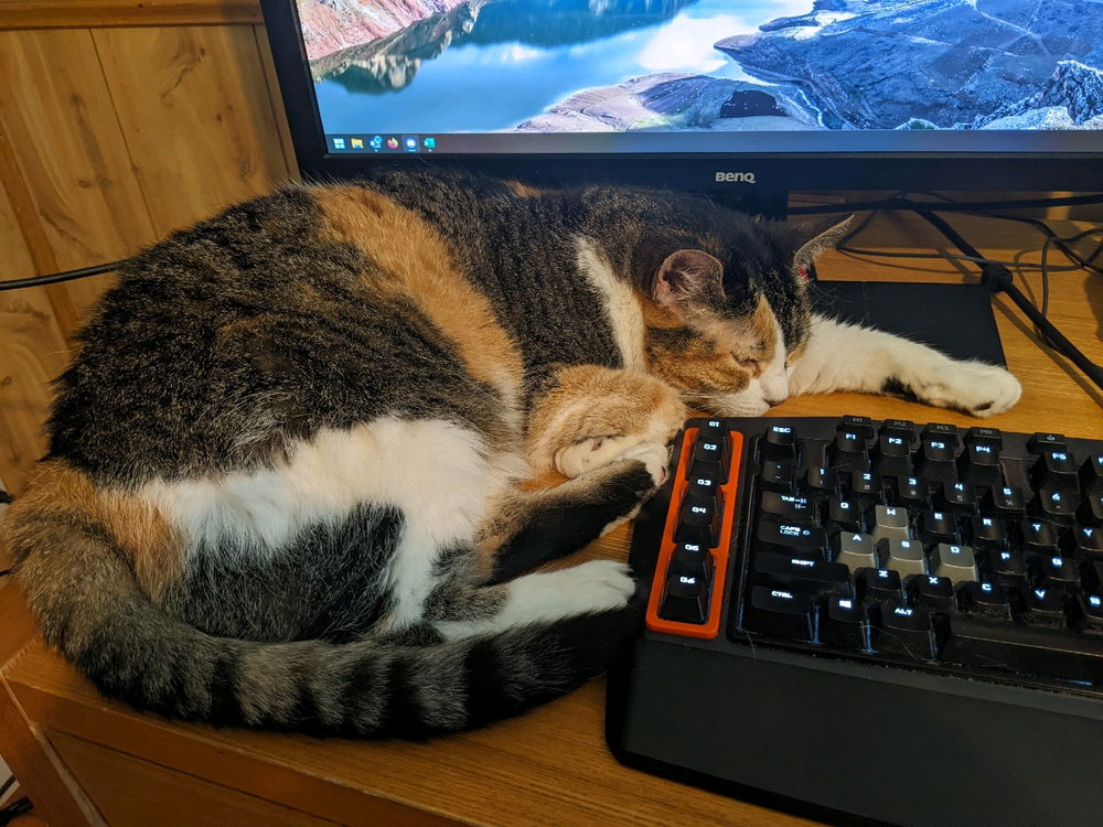 Afternoon naps