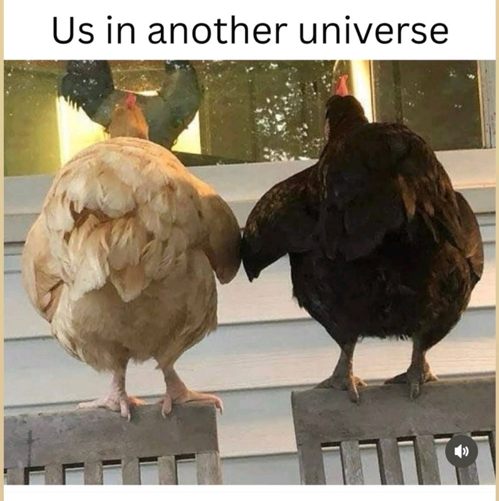 🥹