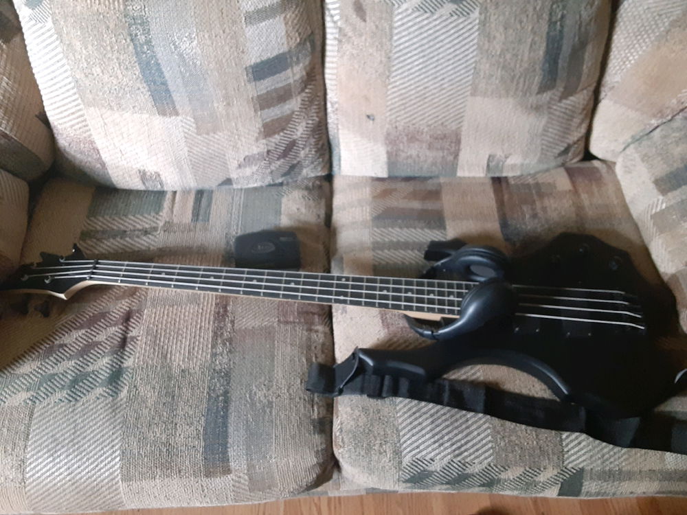 Bassist
