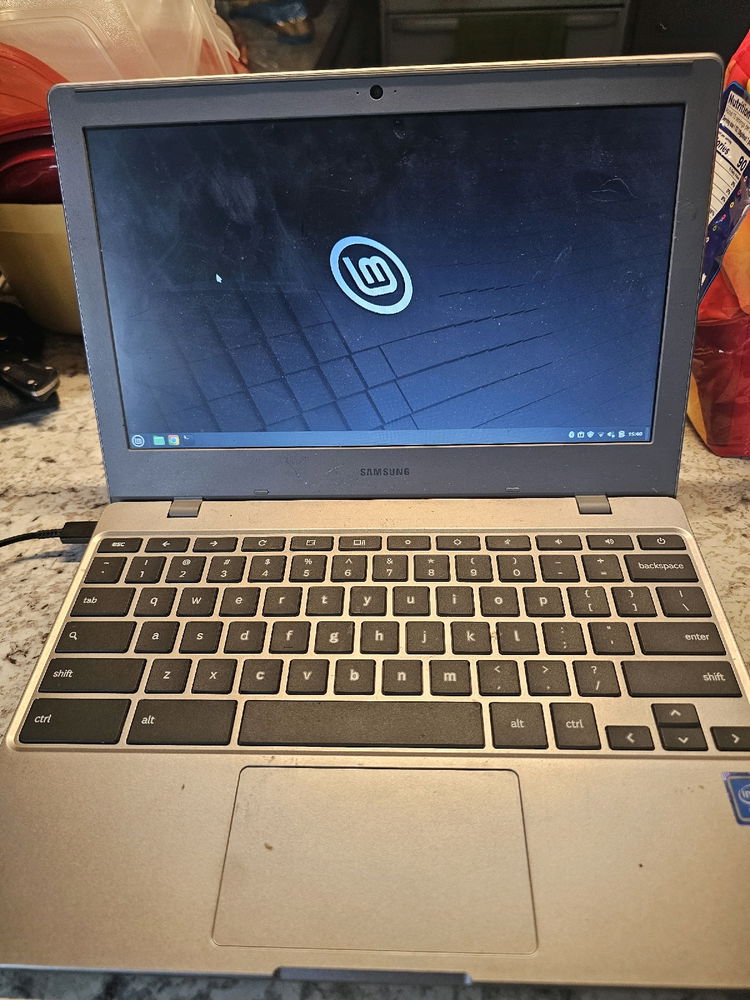 Linux mint on Samsung bluebird