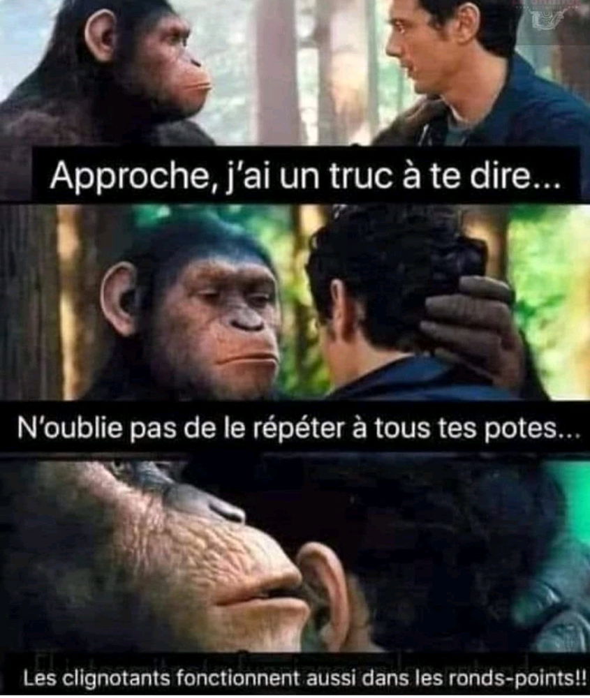 Code de la route...