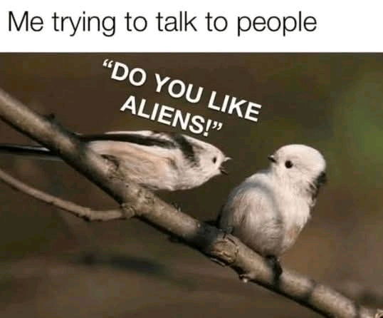 How to make friends 😂