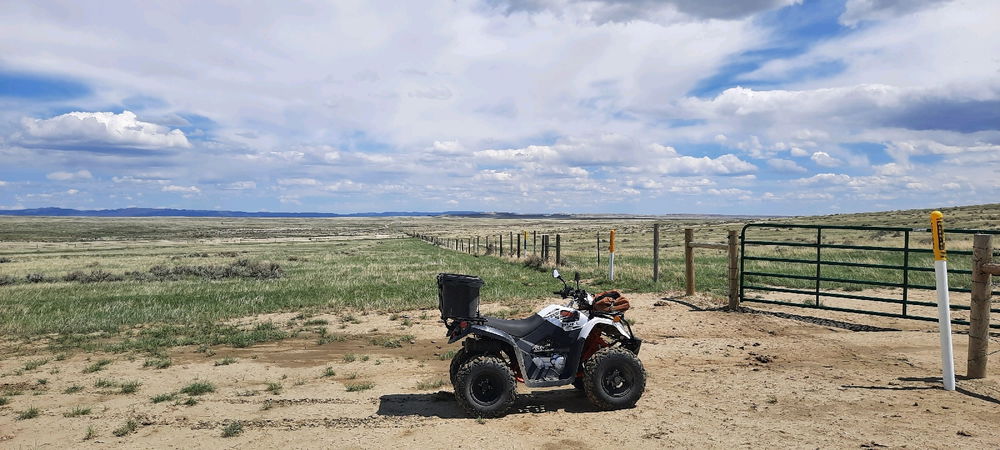 Wyoming - a day at the office