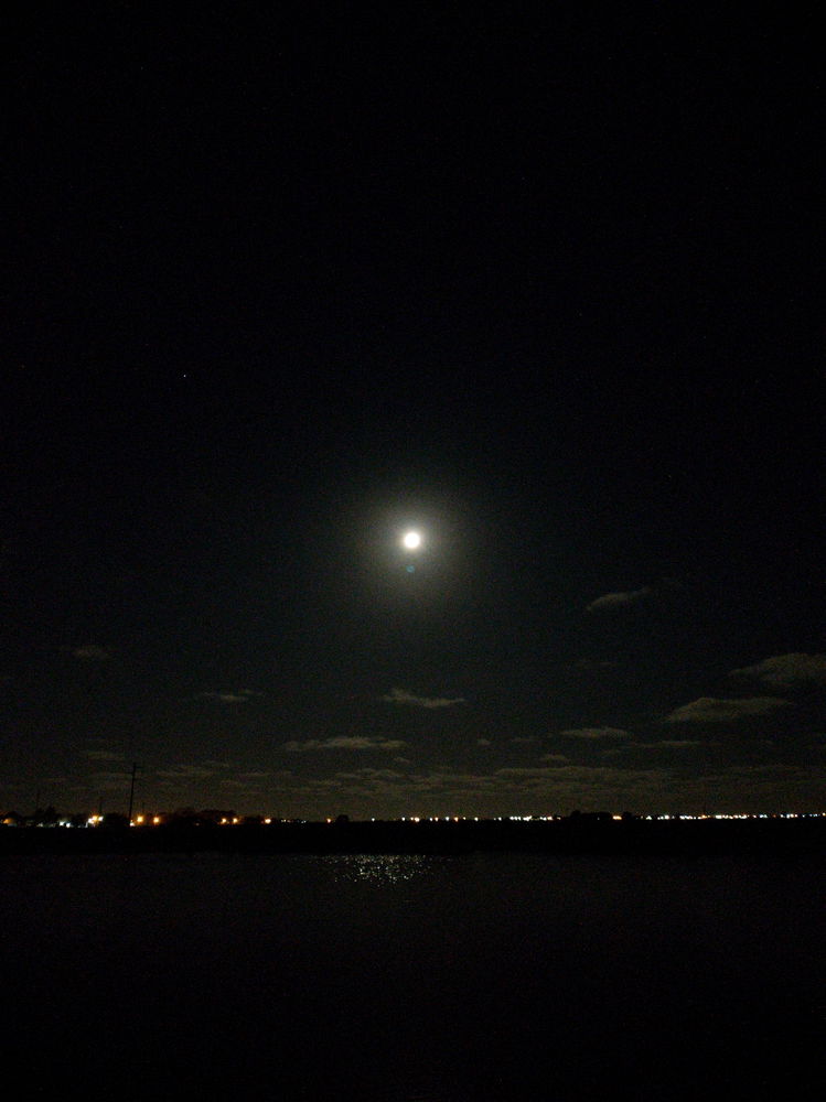 Hermosa Noche