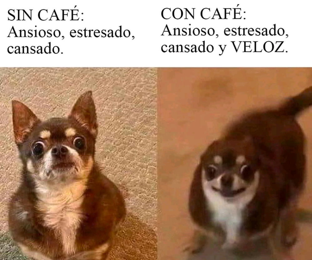 Un Cafecito 🤭