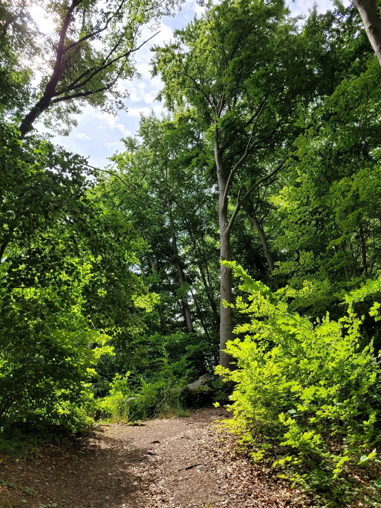 Wandertour in Arnstadt, am Tor zum Thüringer Wald