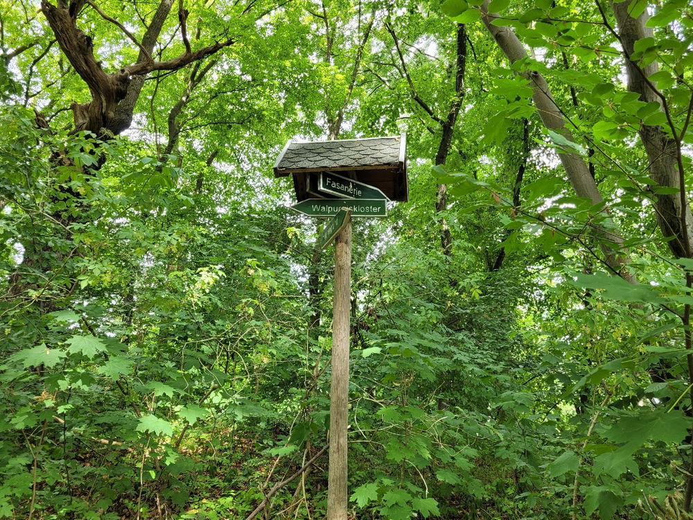 Wandertour in Arnstadt, am Tor zum Thüringer Wald