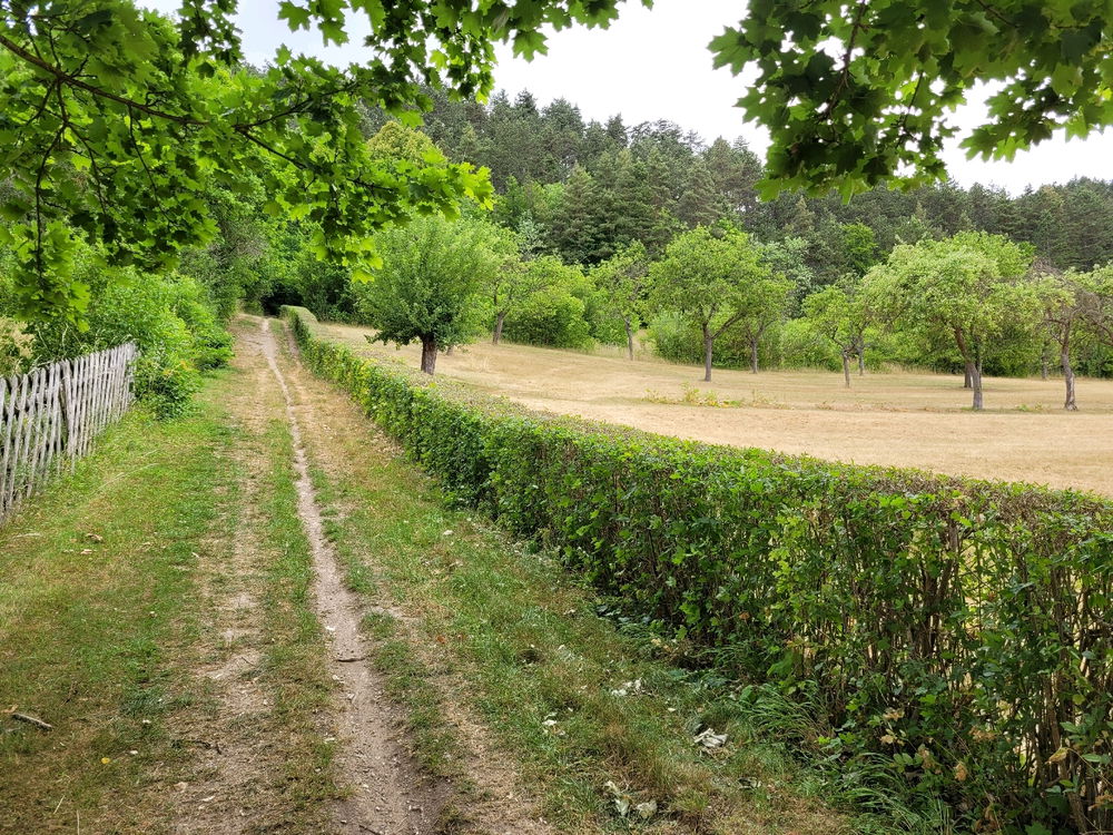 Wandertour in Arnstadt, am Tor zum Thüringer Wald