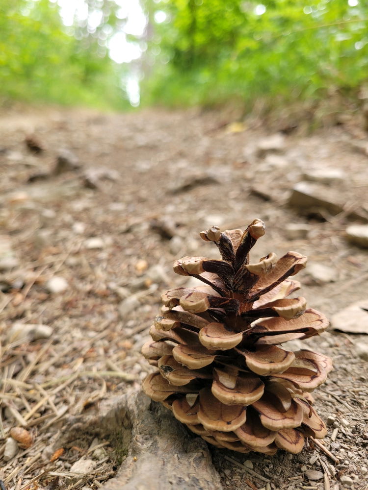 Wandertour in Arnstadt, am Tor zum Thüringer Wald