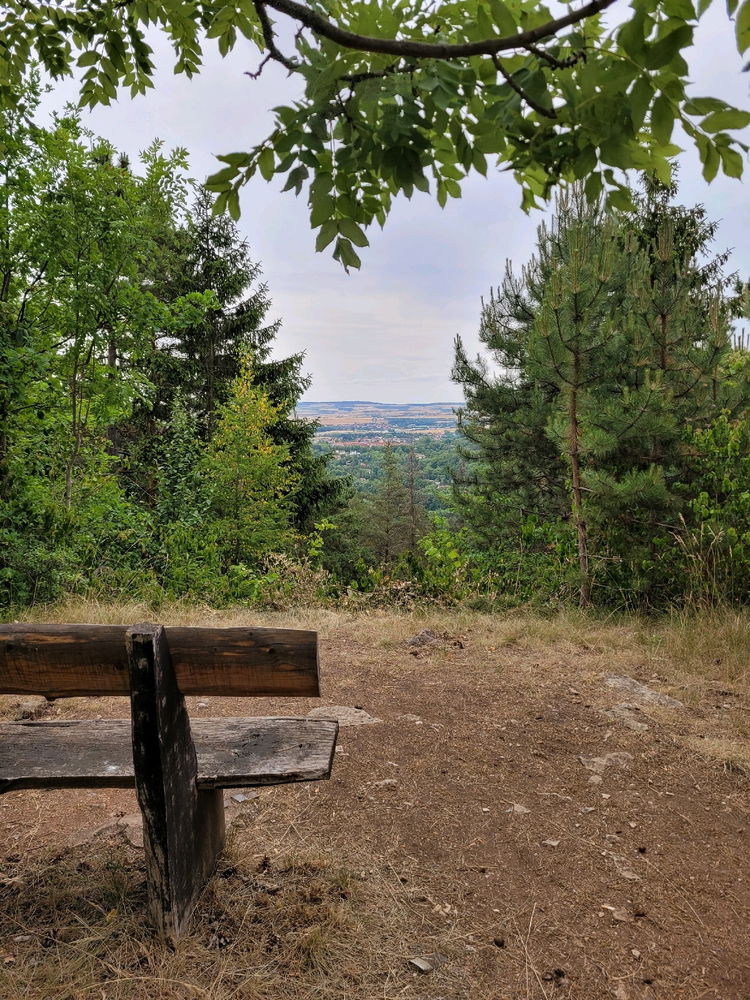 Wandertour in Arnstadt, am Tor zum Thüringer Wald