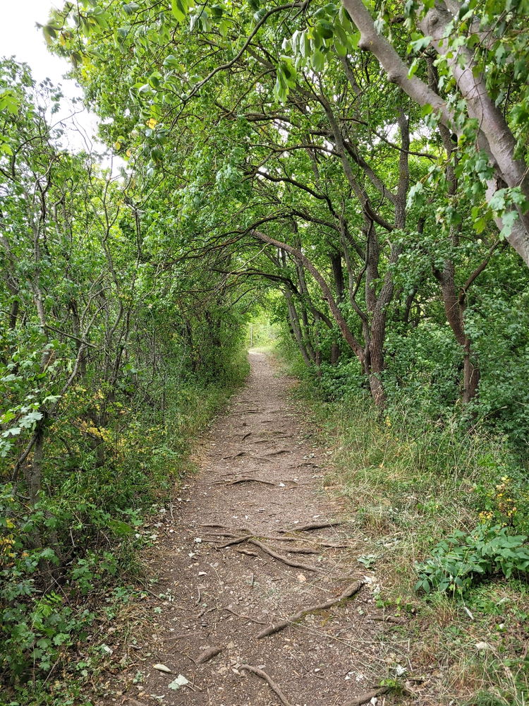 Wandertour in Arnstadt, am Tor zum Thüringer Wald