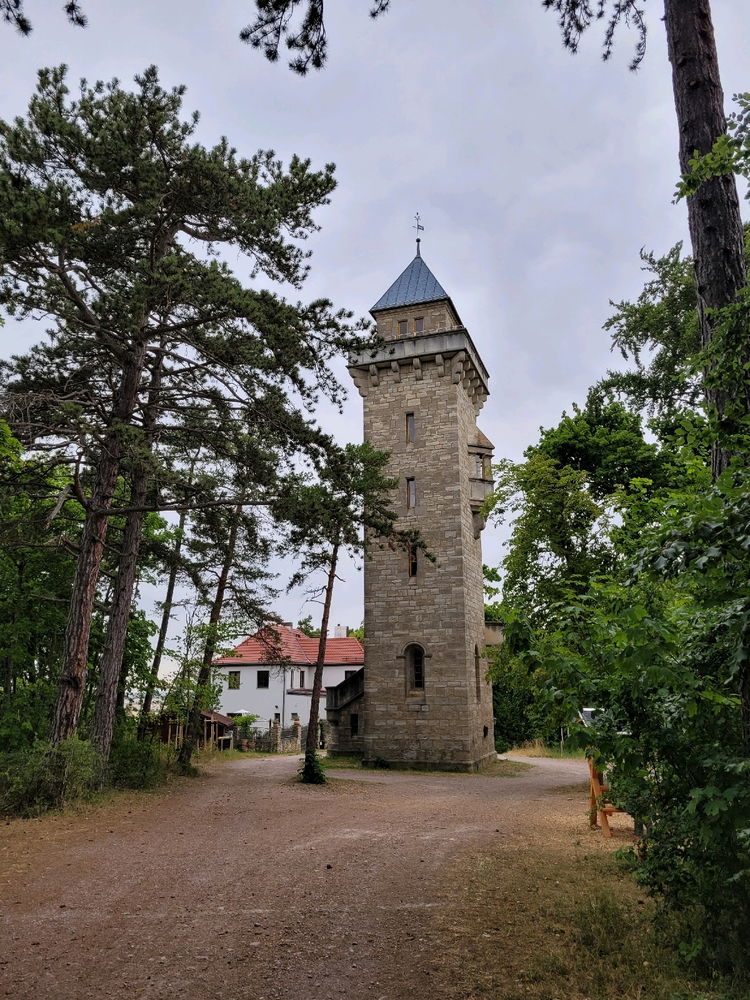 Wandertour in Arnstadt, am Tor zum Thüringer Wald