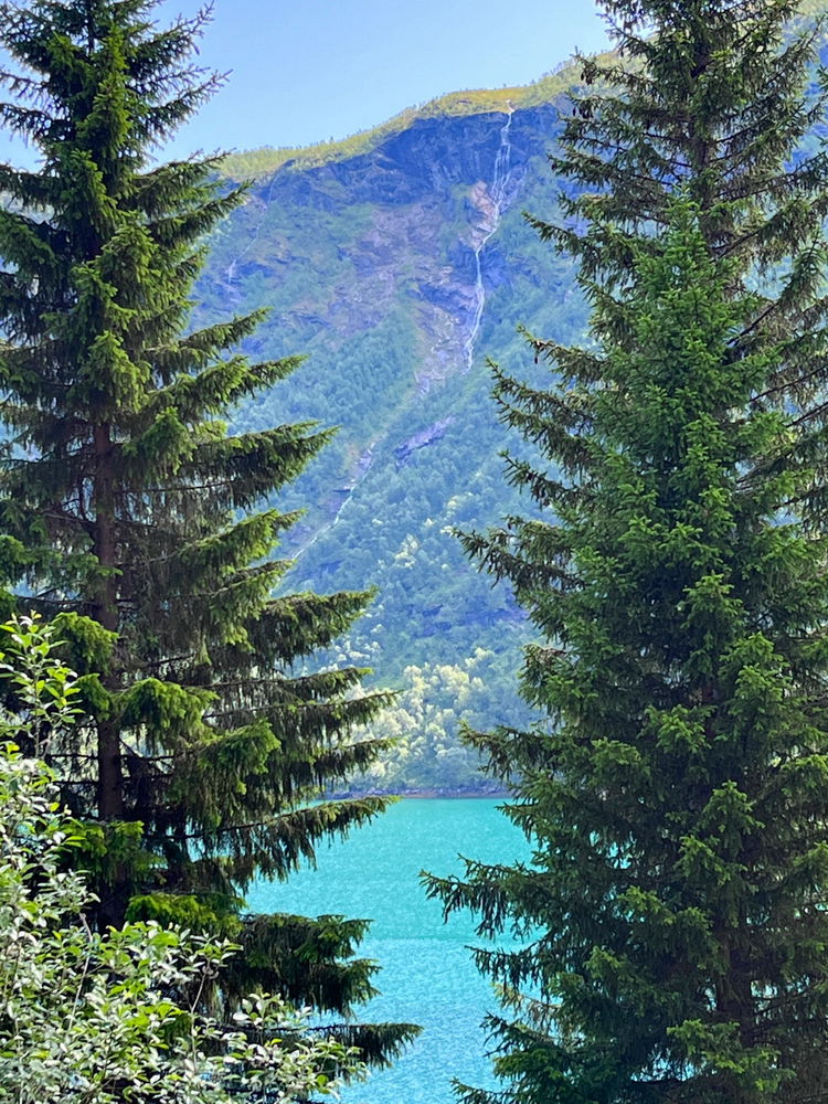 Sitting on the terrace and admiring nature, I came to the conclusion that a house without other half is just a building…  What do you think about this?
