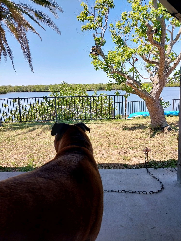 Relaxing