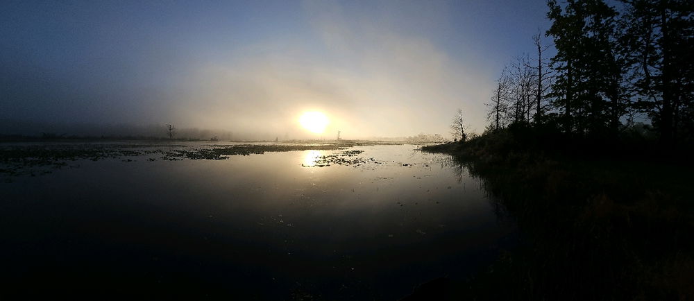 Fog and Osprey
