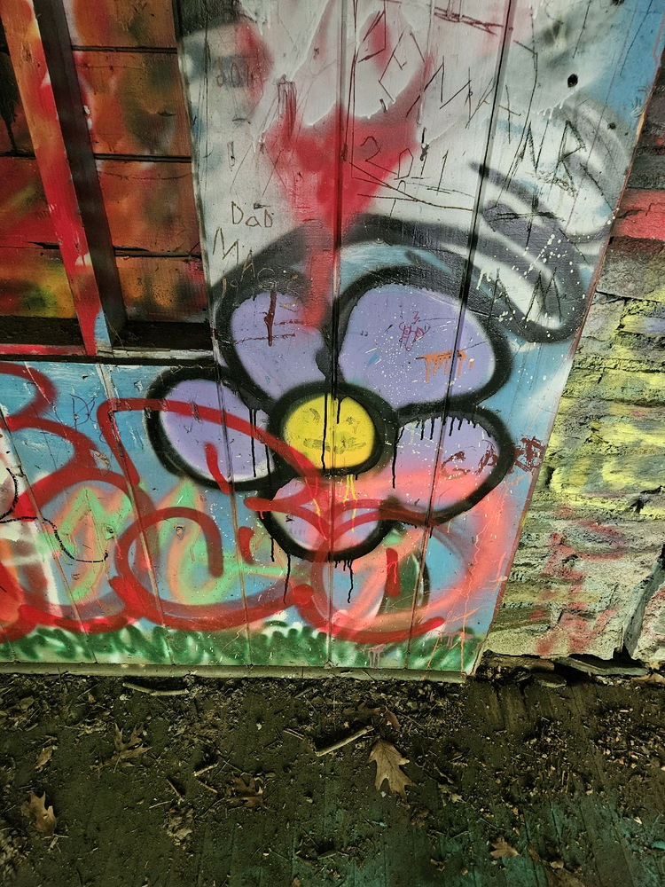 Graffiti of Vermont.