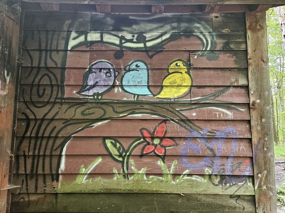 Graffiti of Vermont.