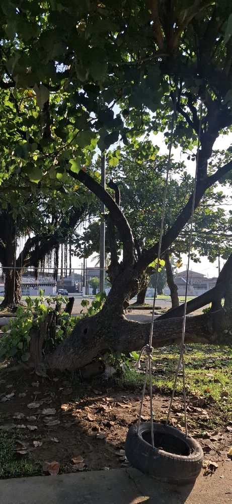 Ponto de vista☆