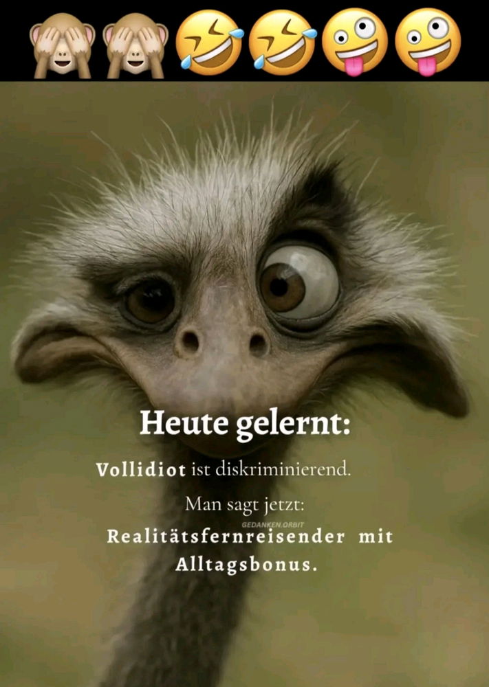 🤣 🙊