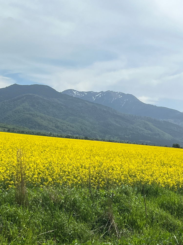Mountain Side Brasov