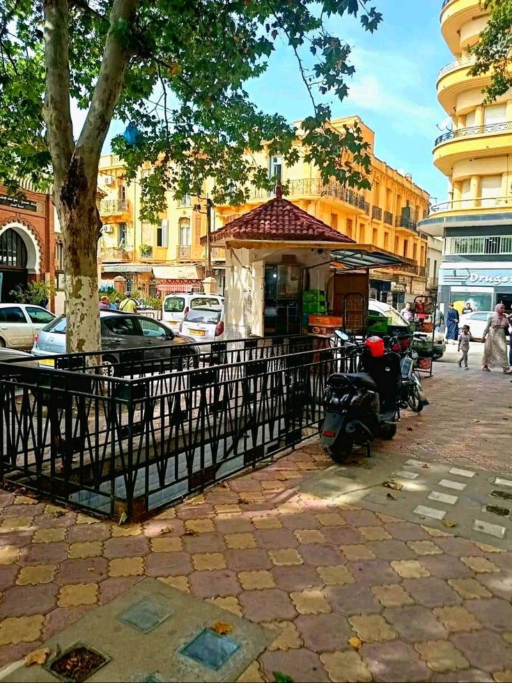 Dobrý večer 🌸🏞️