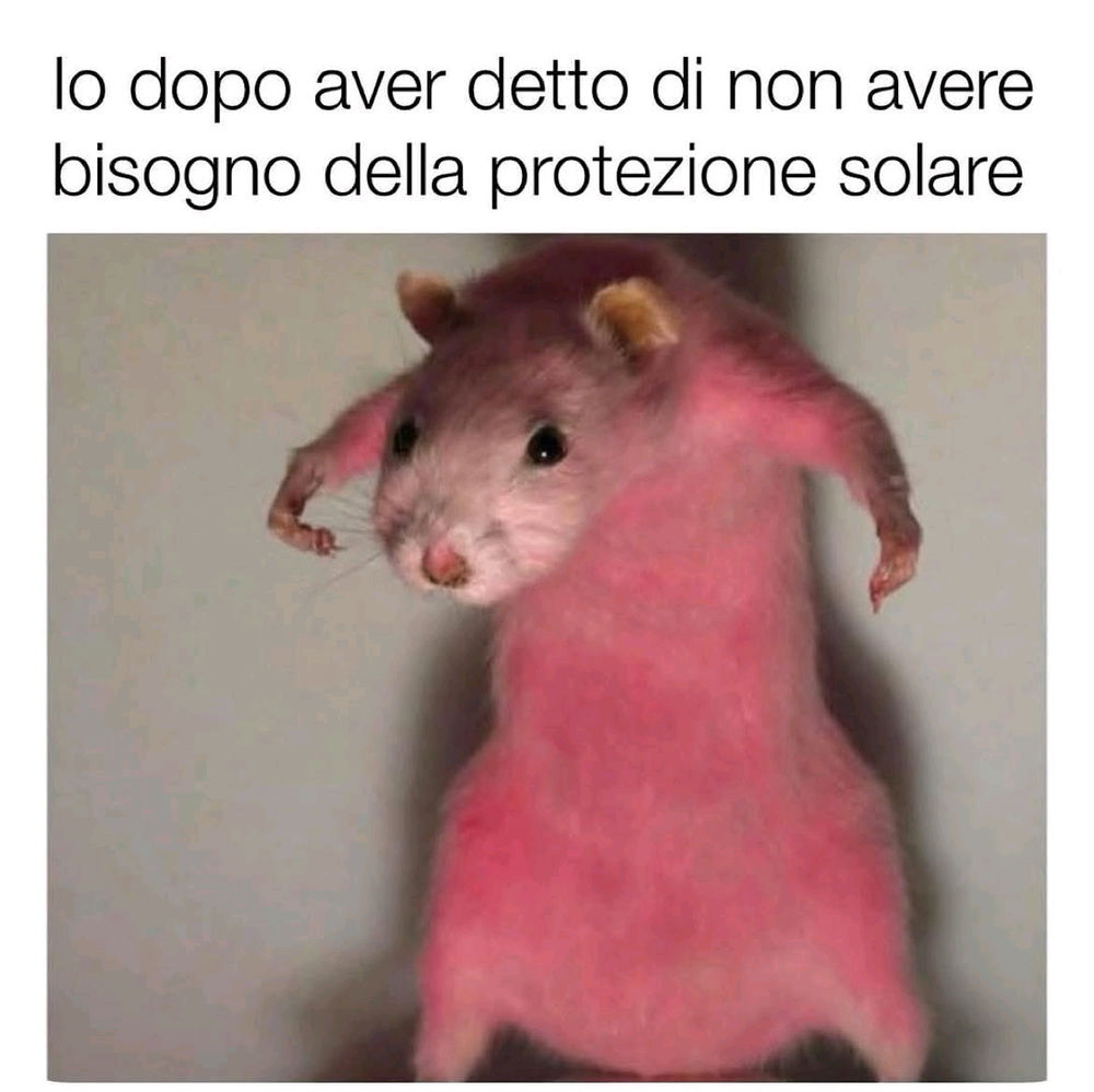 😆🤣🤭