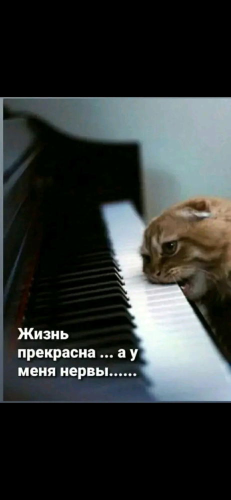 Вечер
