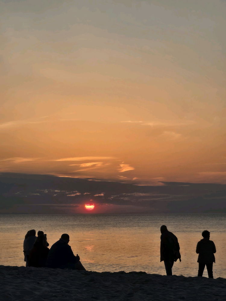 🌅