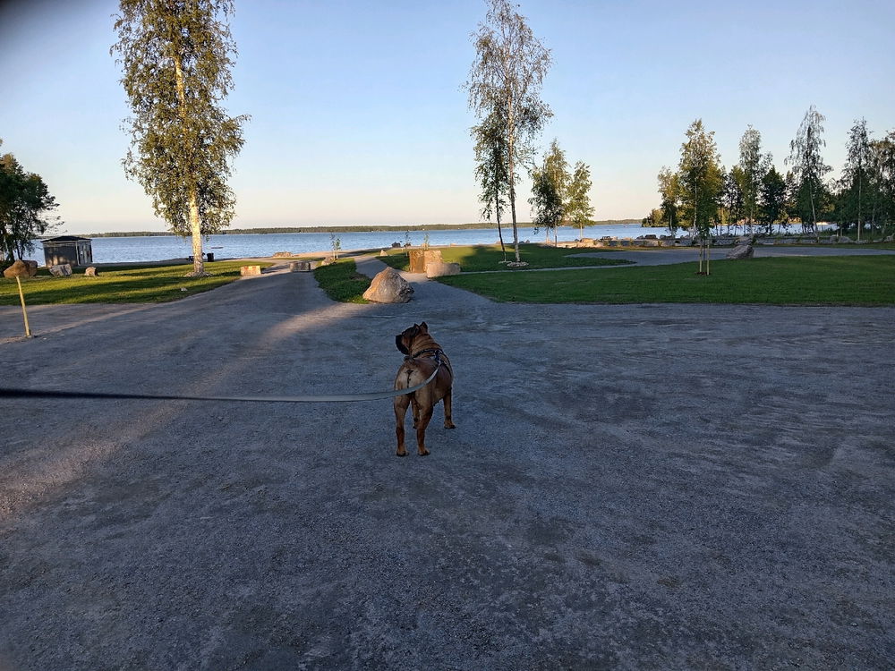 Found a beach not far...