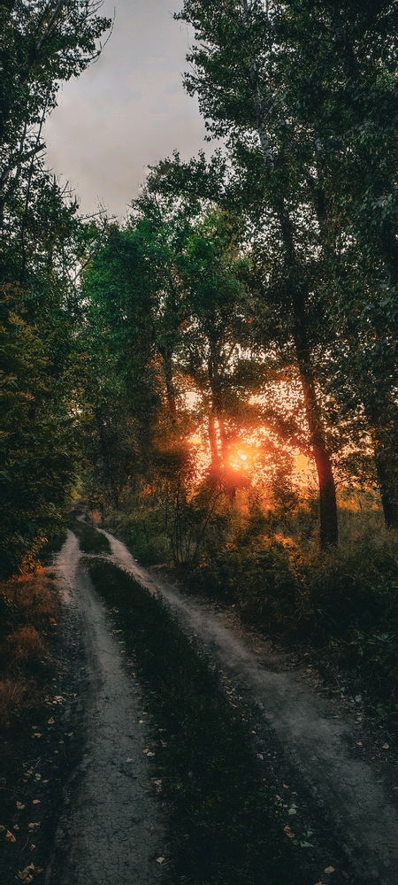 Вечерние красоты🥰