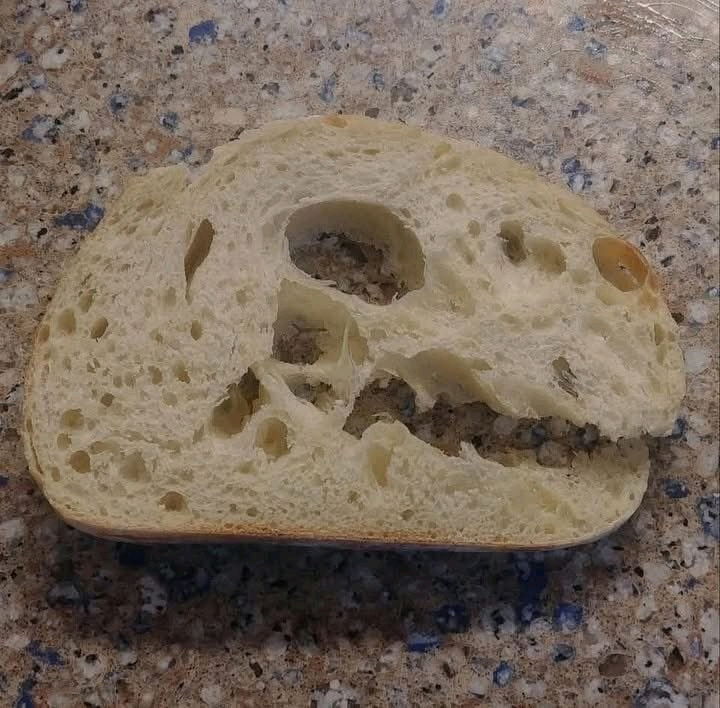 Jurassic Pan
