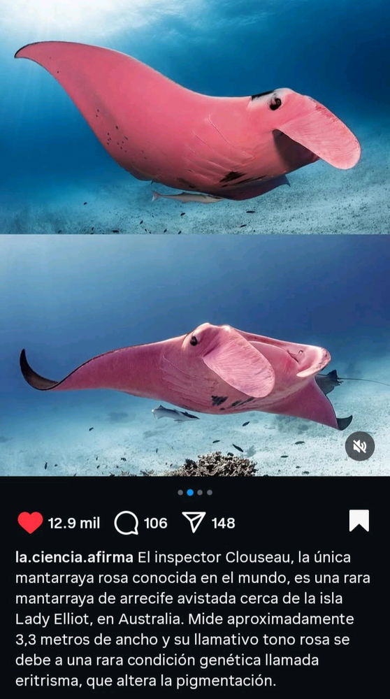 Está muy lindaAAAAAA!💗