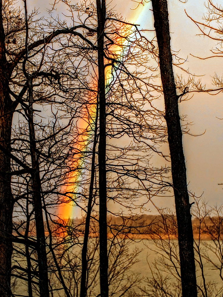 Captured this amazing Rainbow most brilliant I have ever seen
