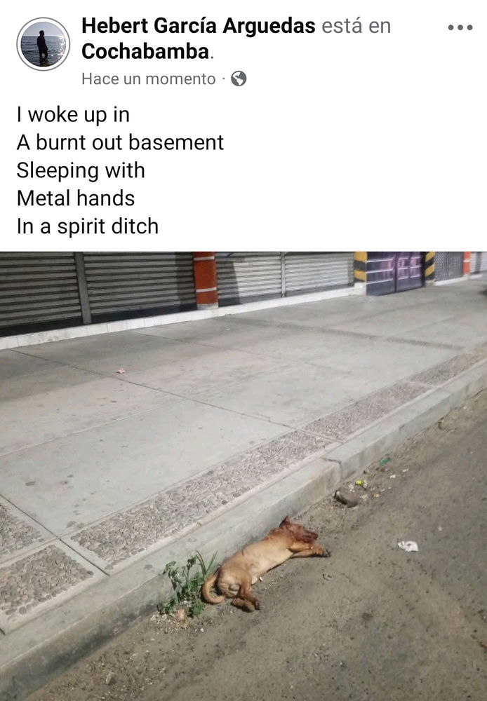 🐾