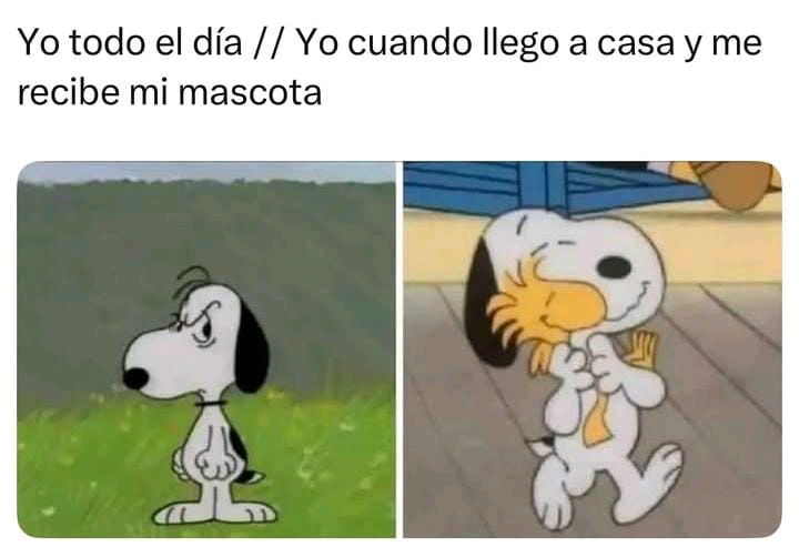 🙂‍↕️