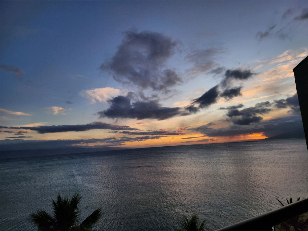 Trip to Hawaii!