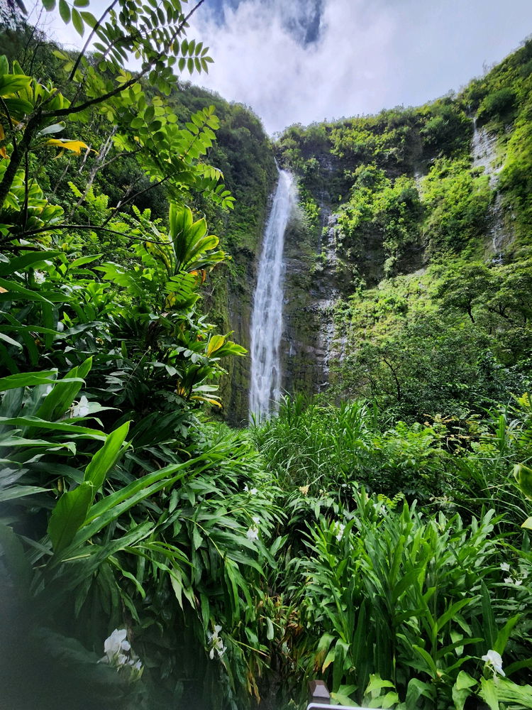 Trip to Hawaii!