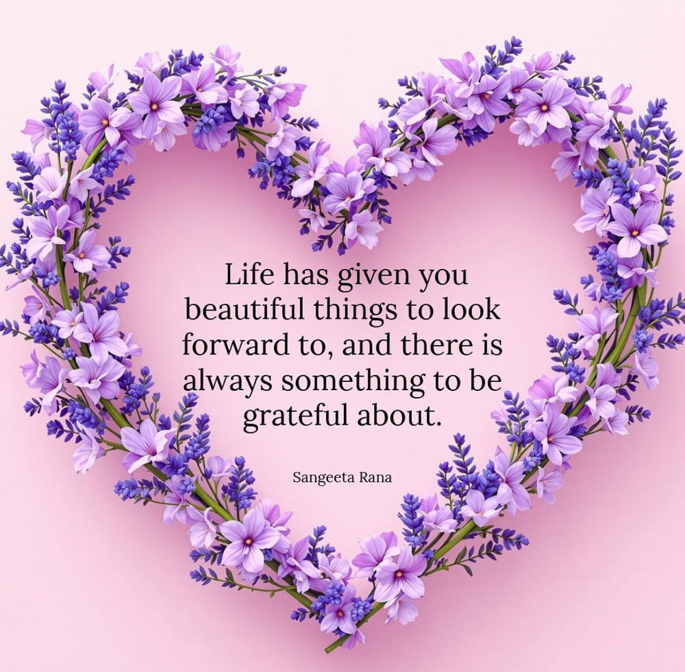 💜🩷💜🩷💜🩷
