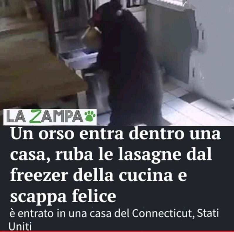 Ee lei?? Che belva si sente??