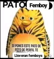 ¡Por el poder del pato!