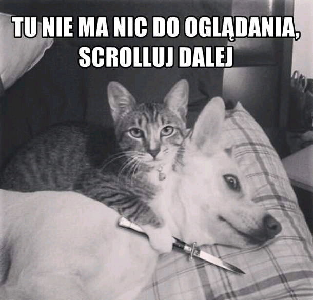 🤭
