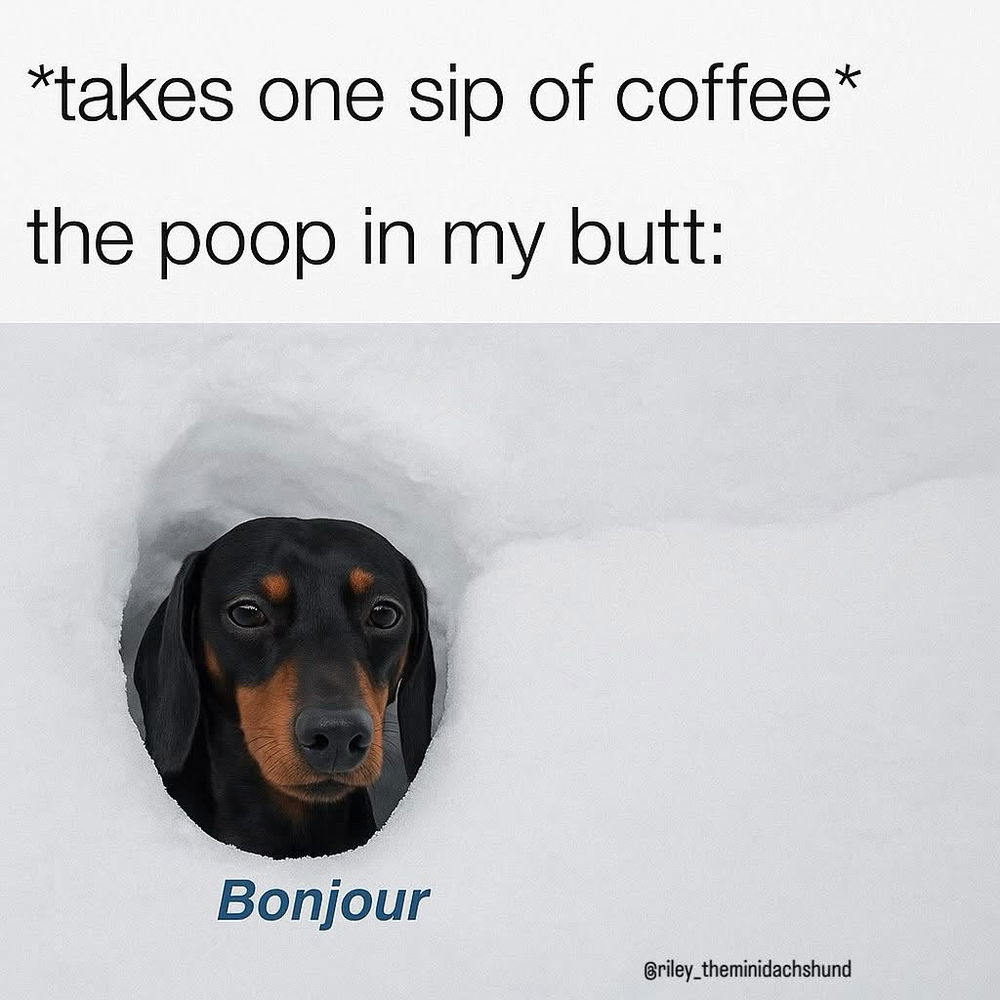 Typical morning routine.