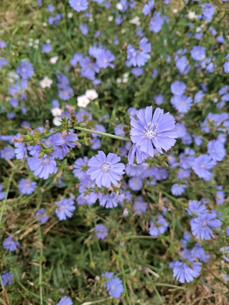 💐