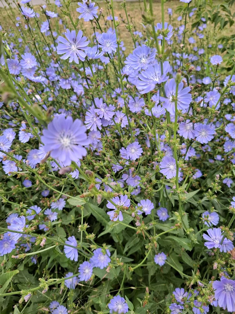 💐