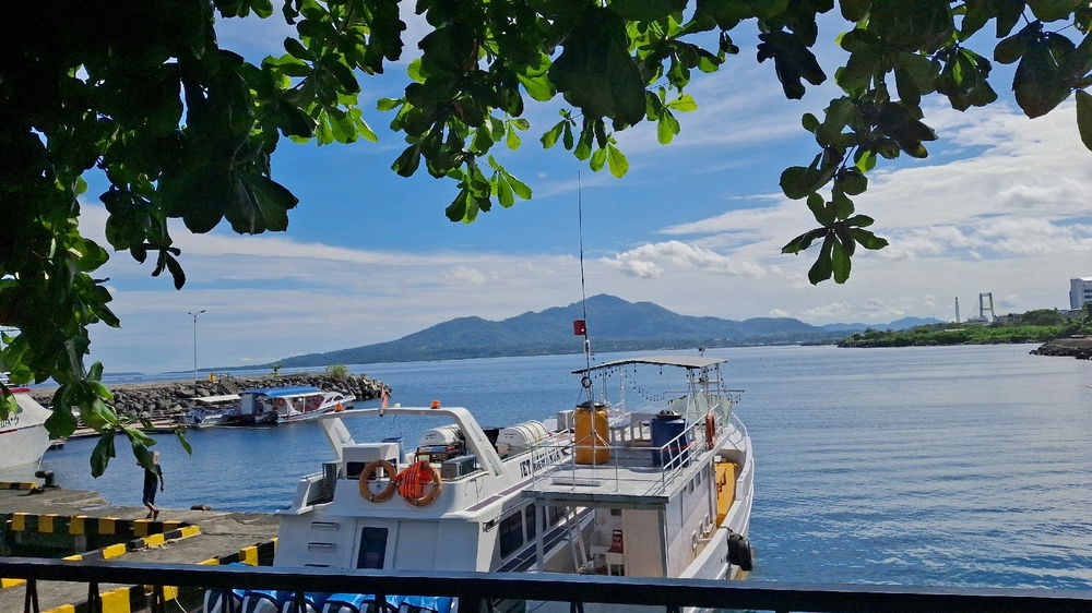 Morning view