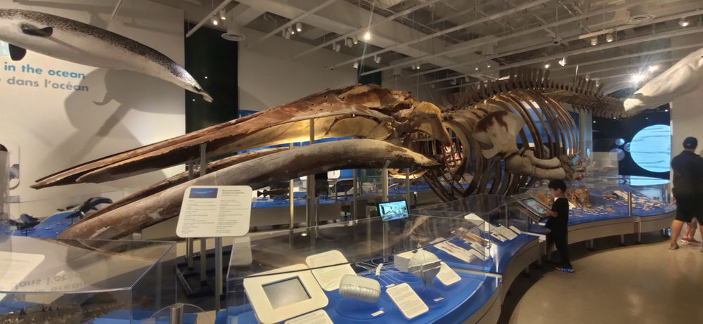 A quien más le gustan los museos?