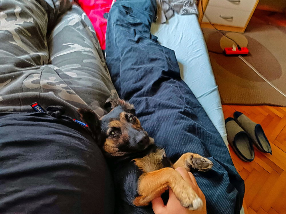 🐕