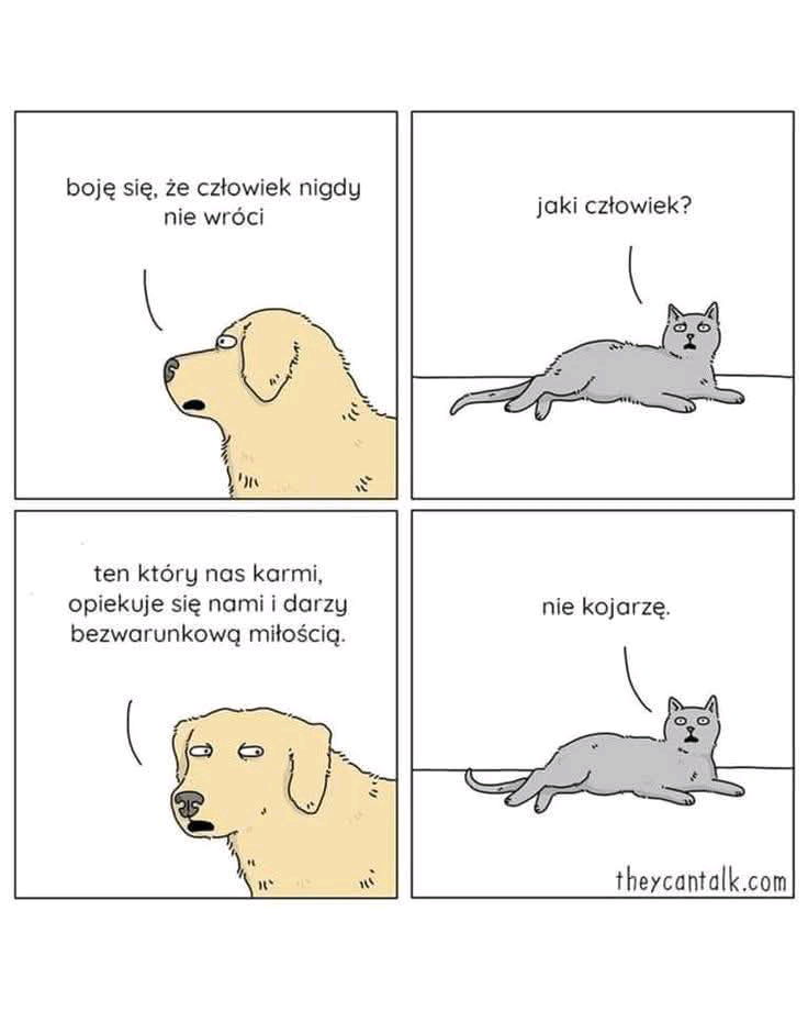 Coś w tym jest