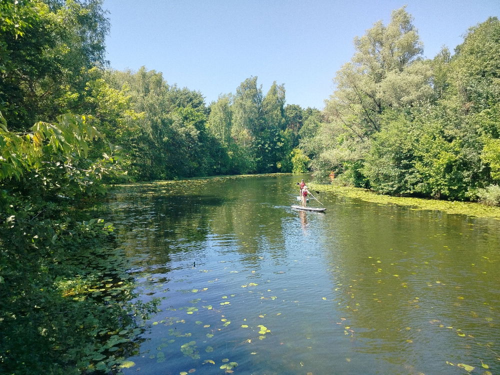 Пляж в Серебряном бору. Кувшинки, кувшинки, кувшинки..